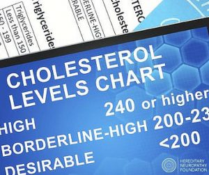 CholesterolHNF