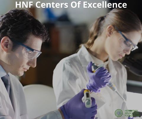 ngo-illustration-Artboard 5 HNF Centers of Excellence