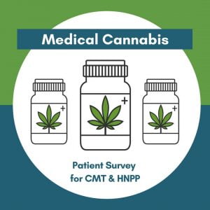 cannabis study