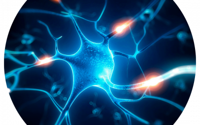 New Study Measures Progression of CMT1A Nerve Impairment