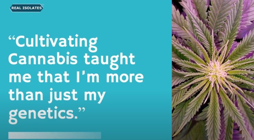 CMT & Cannabis