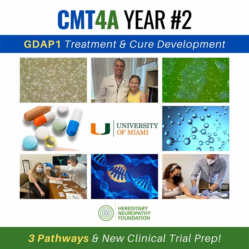 GDAP1-CMT4A Year2 GDAP1-CMT4A Year2